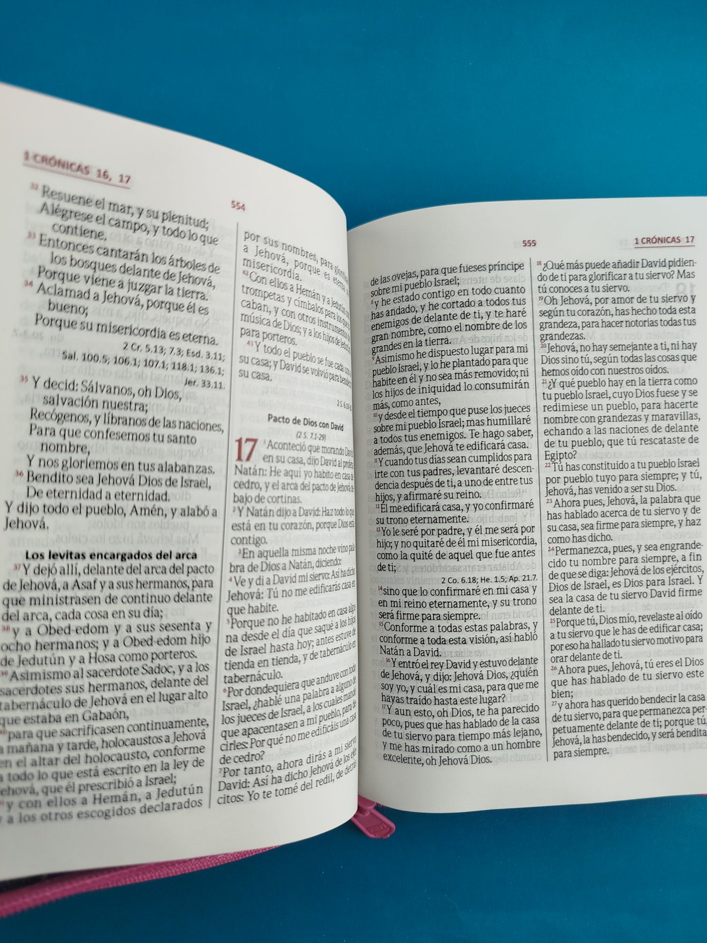 Biblia troquelada magenta flores canto plateado