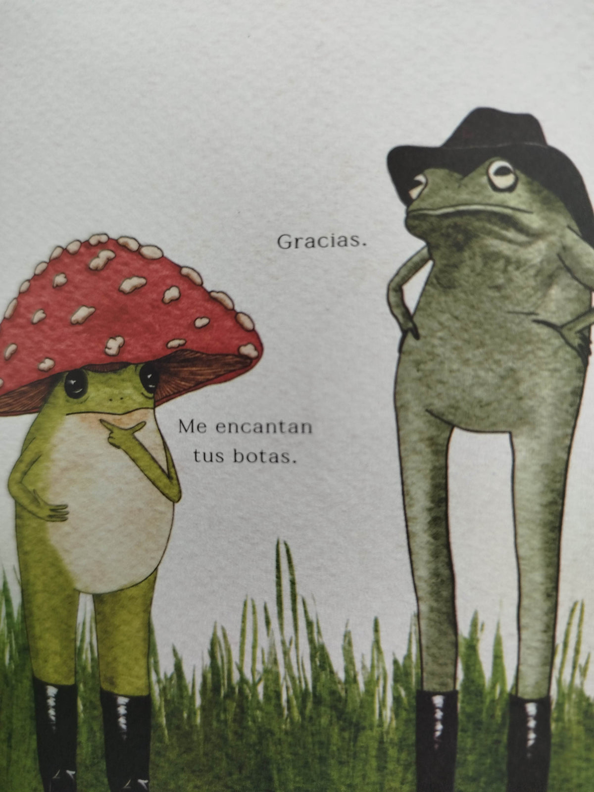 Guía De La Ranita Para La Vida by Maybell Eequay