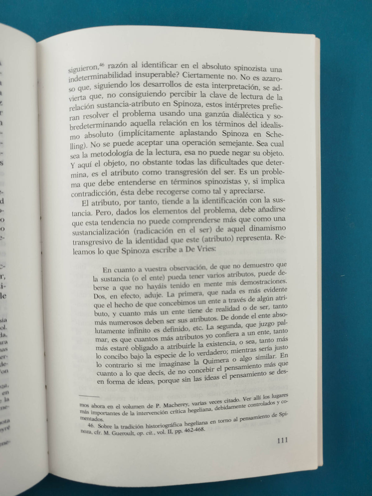 La anomalía salvaje by Antonio Negri
