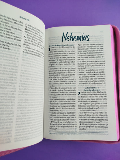 Biblia valientes con Jesús rvr letra grande fucsia