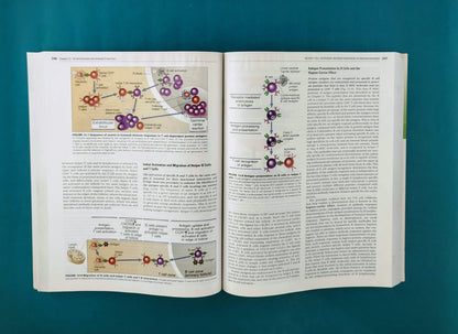 Cellular and molecular immunology eight edition