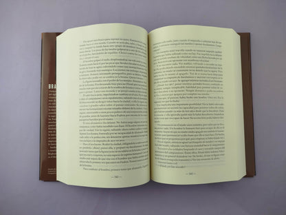 Nacidos de la Bruma 3 El héroe de las eras