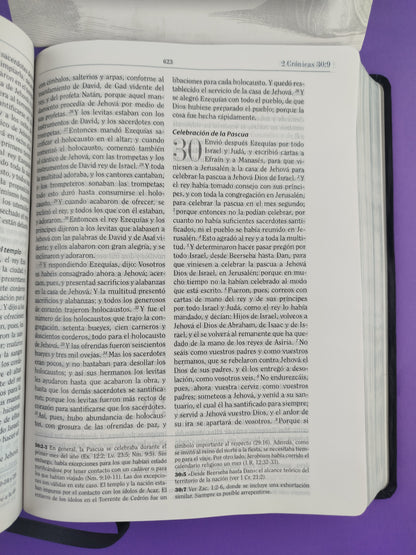 Biblia De Estudio Apologetica Edicion De Lujo