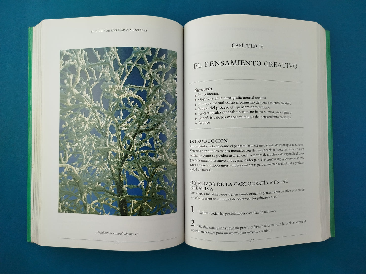 El Libro de los Mapas Mentales