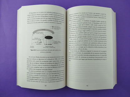 Una historia de la inteligencia