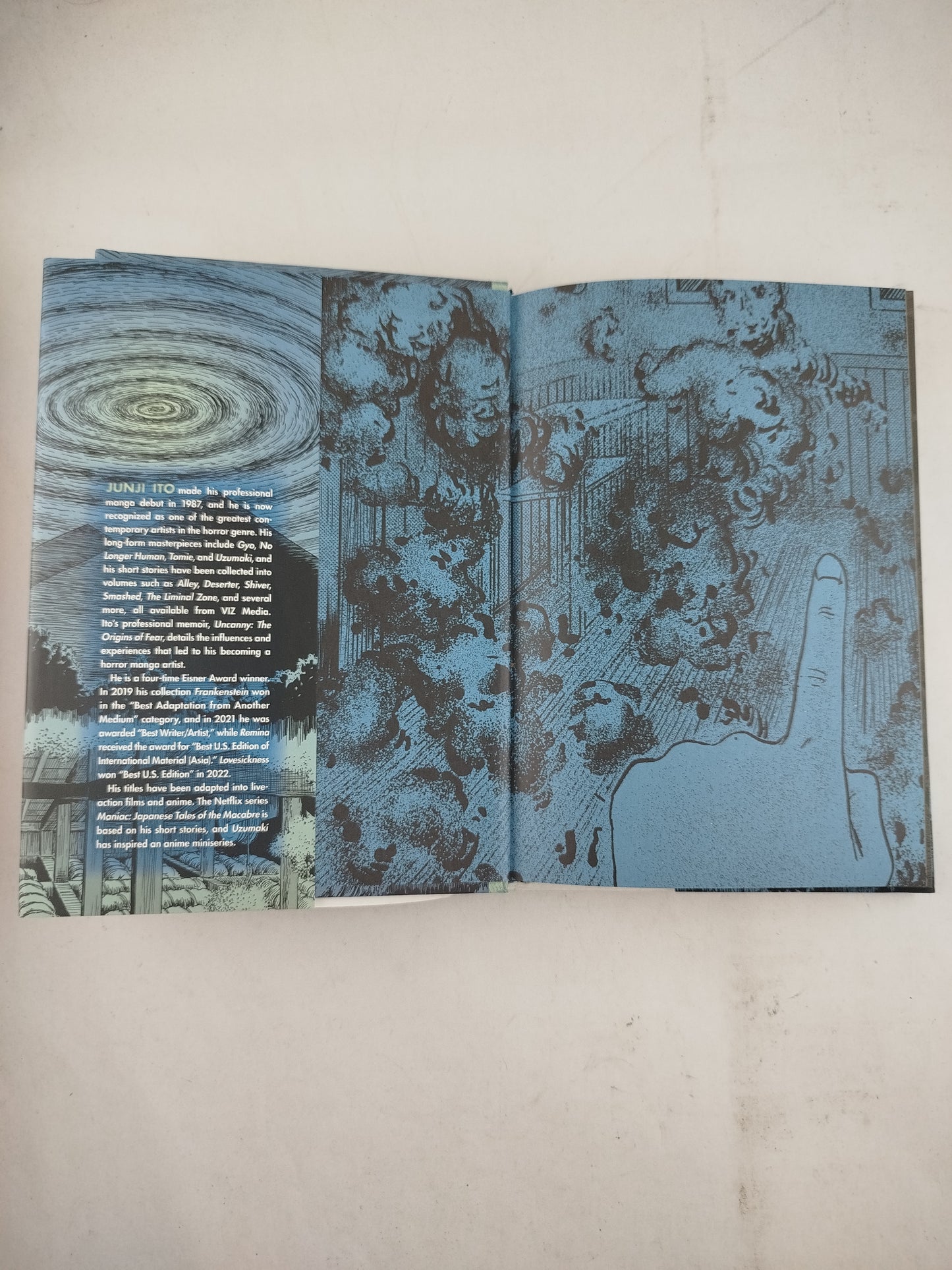 The liminal zone 2 by Junji Ito
