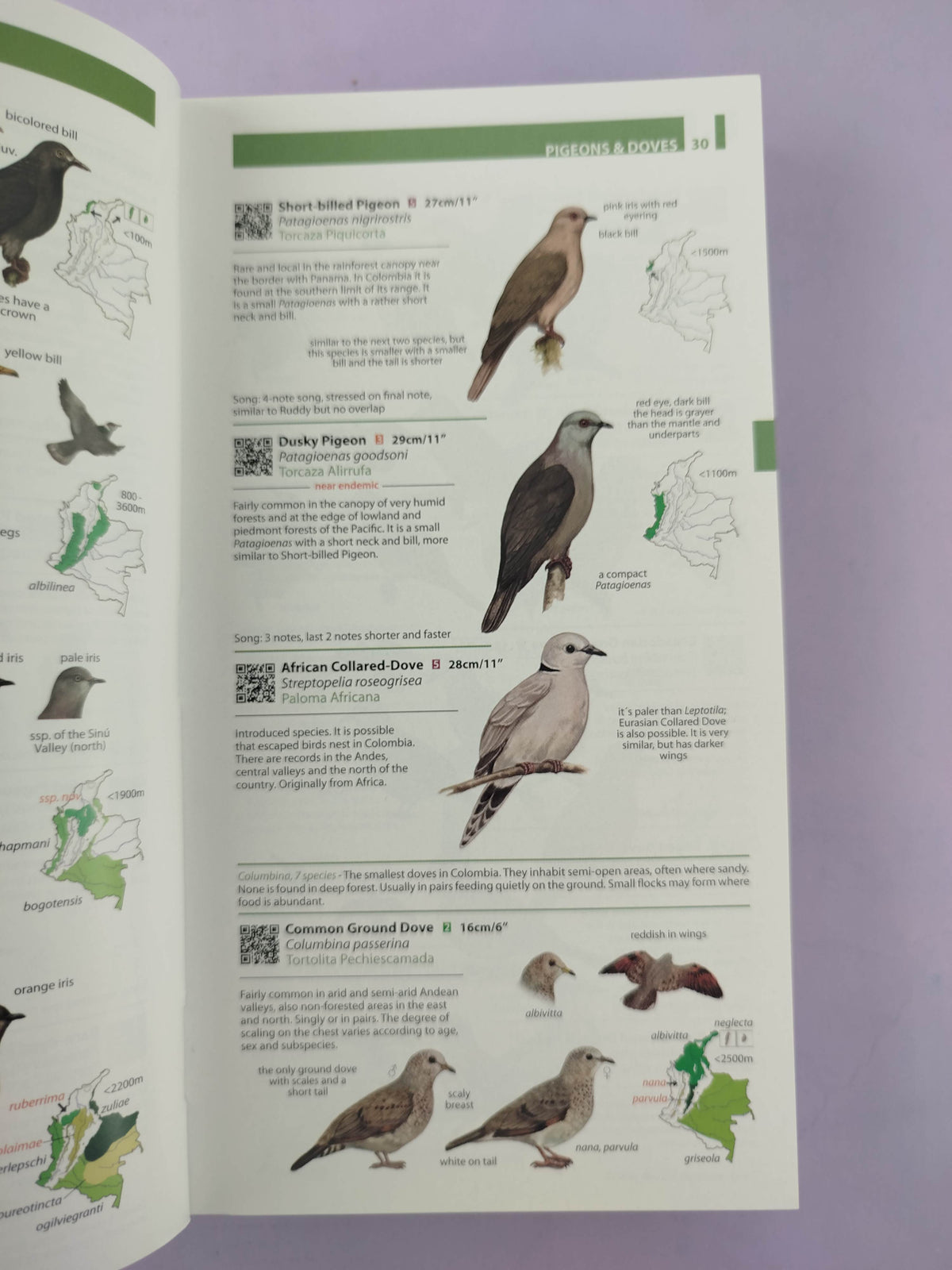 Field guide to the birds of Colombia by Miles McMullan