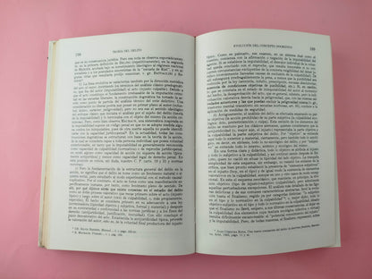 Derecho penal fundamental