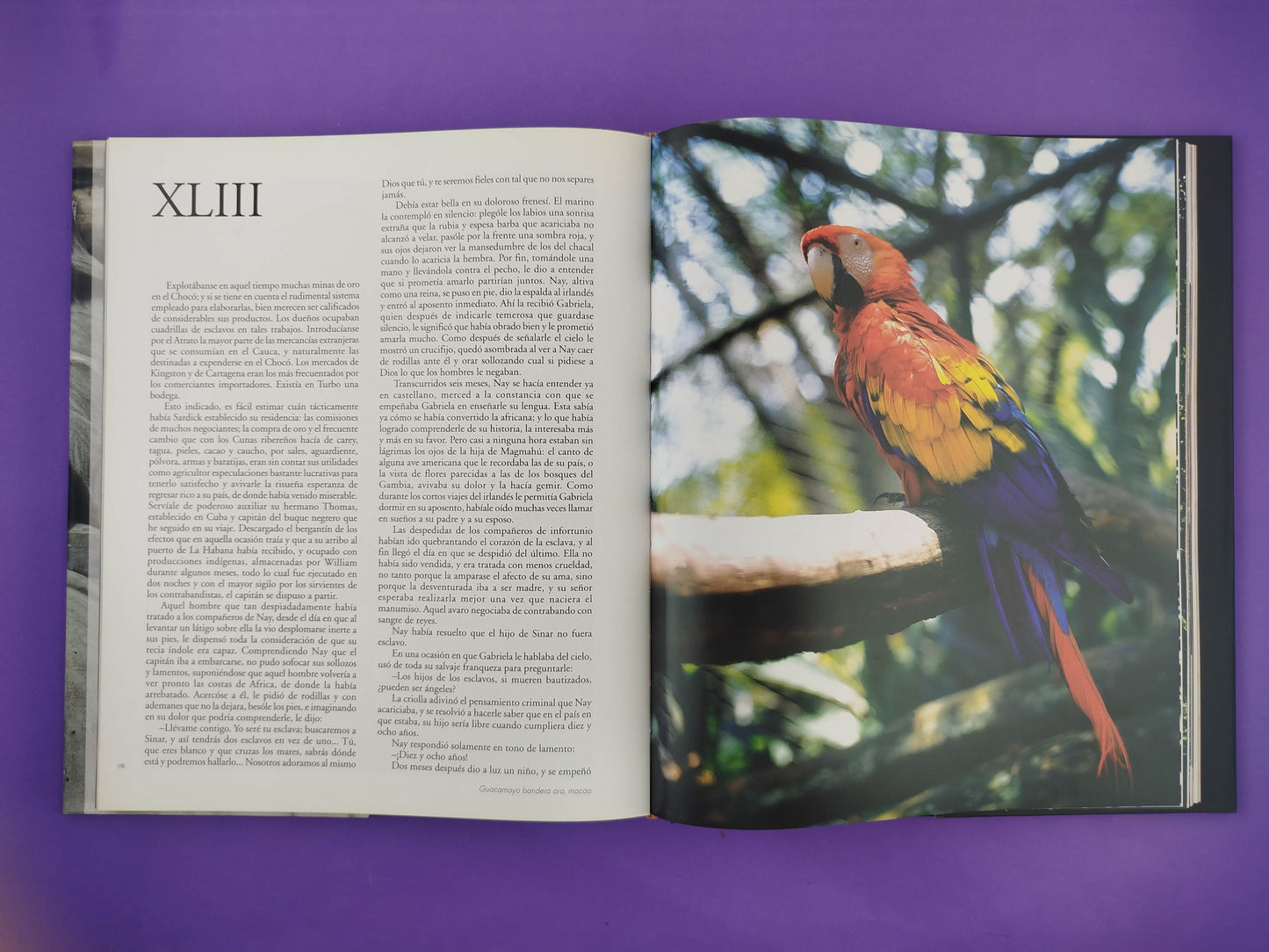 María edición de lujo