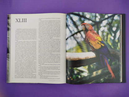 María edición de lujo