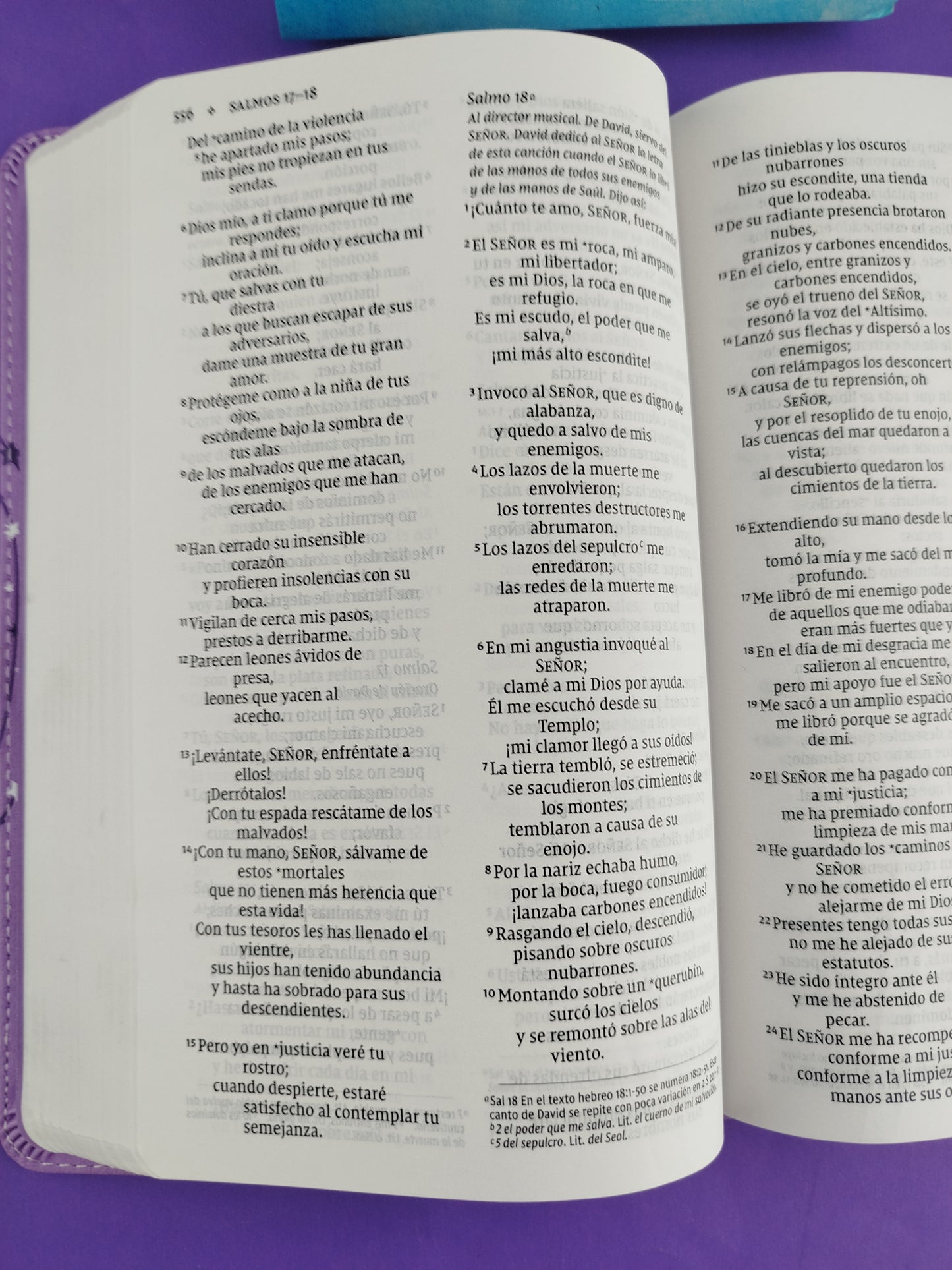 Biblia para niños nvi lila letra grande revisión 2022