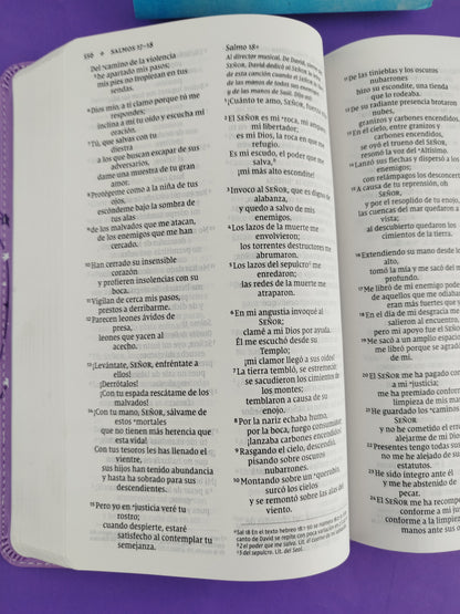 Biblia para niños nvi lila letra grande revisión 2022