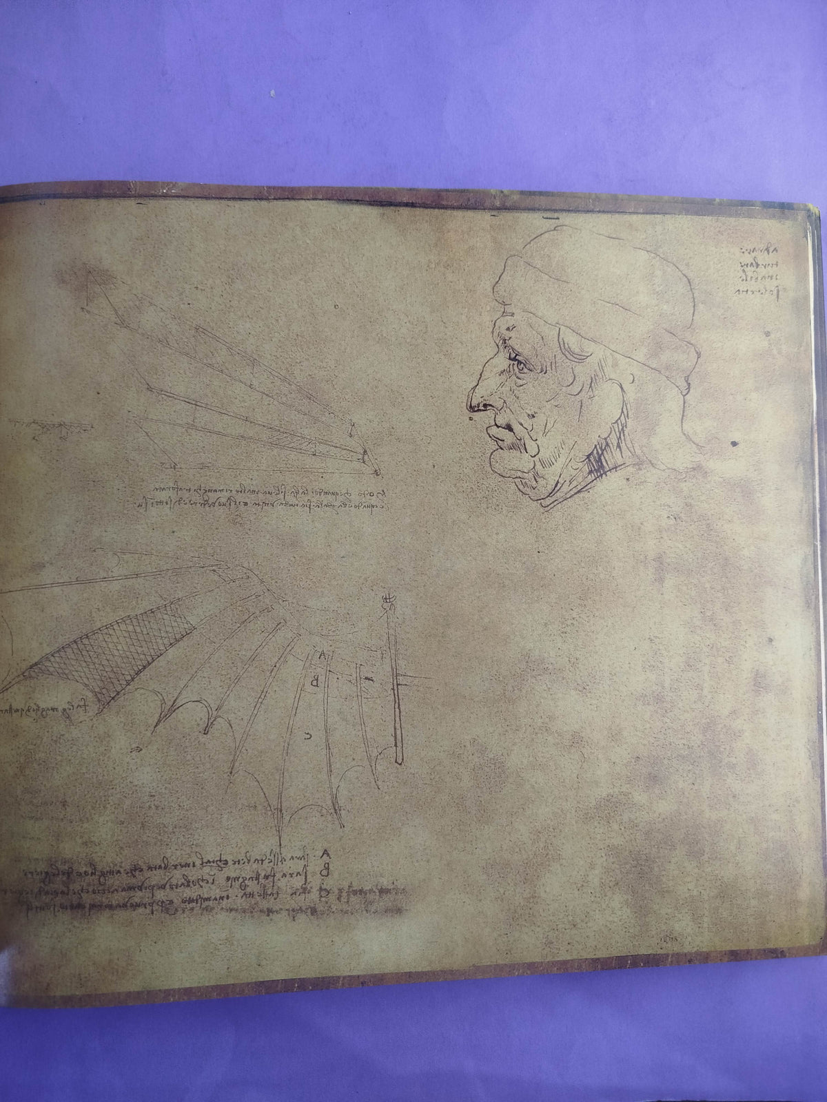 Los Tesoros de Leonardo Da Vinci by Matthew Landrus
