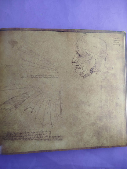 Los Tesoros de Leonardo Da Vinci by Matthew Landrus