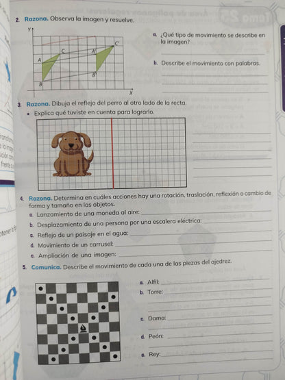 Ideas matemáticas 5 by varios