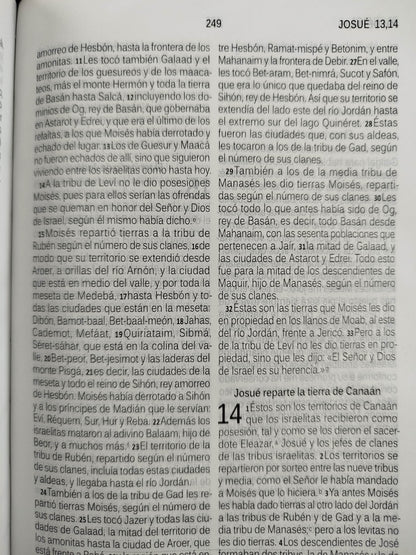 Biblia Dios habla hoy negra letra grande by Reina valera 1960