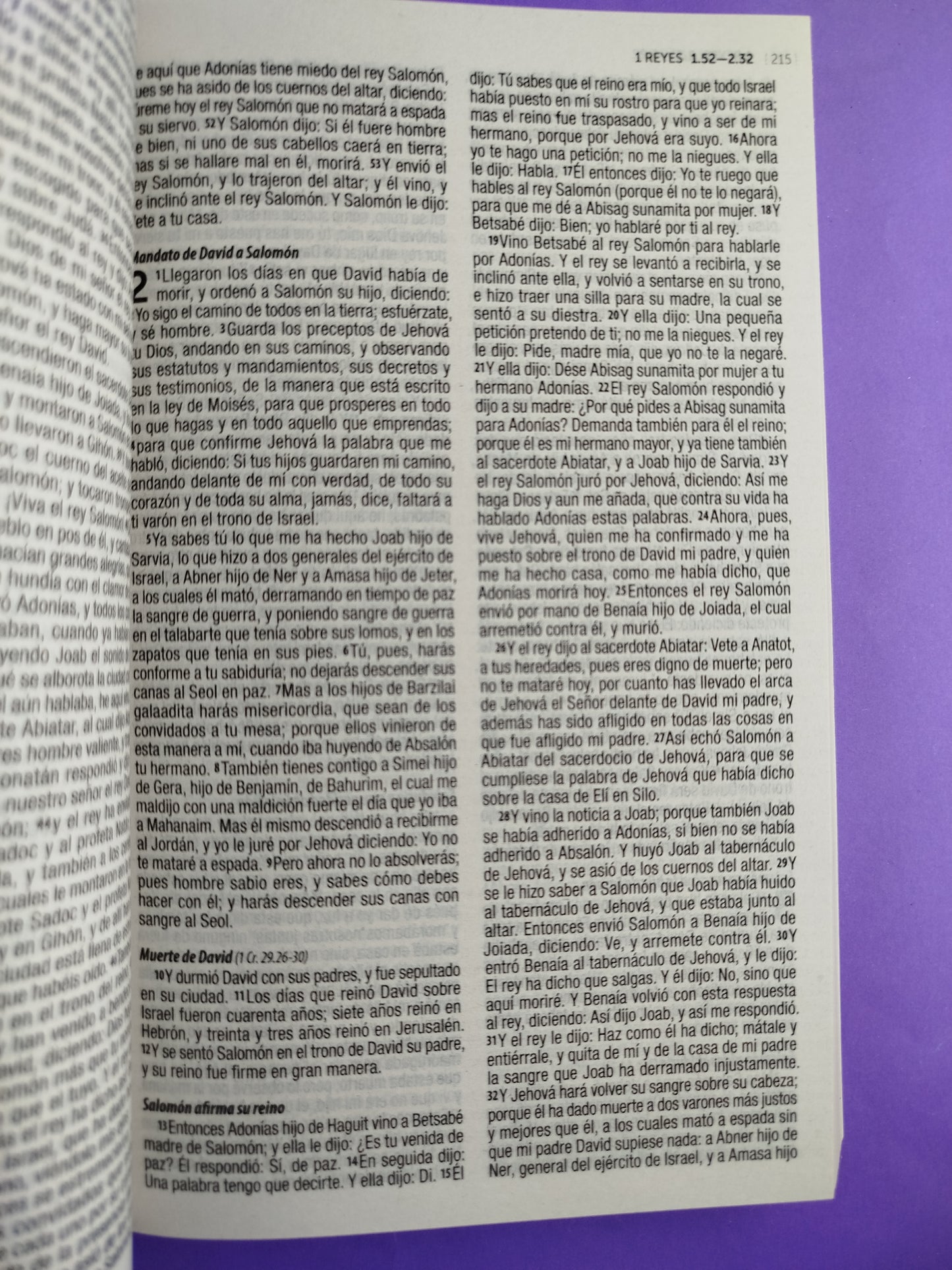 Biblia rvr 1960 misionera azul rey