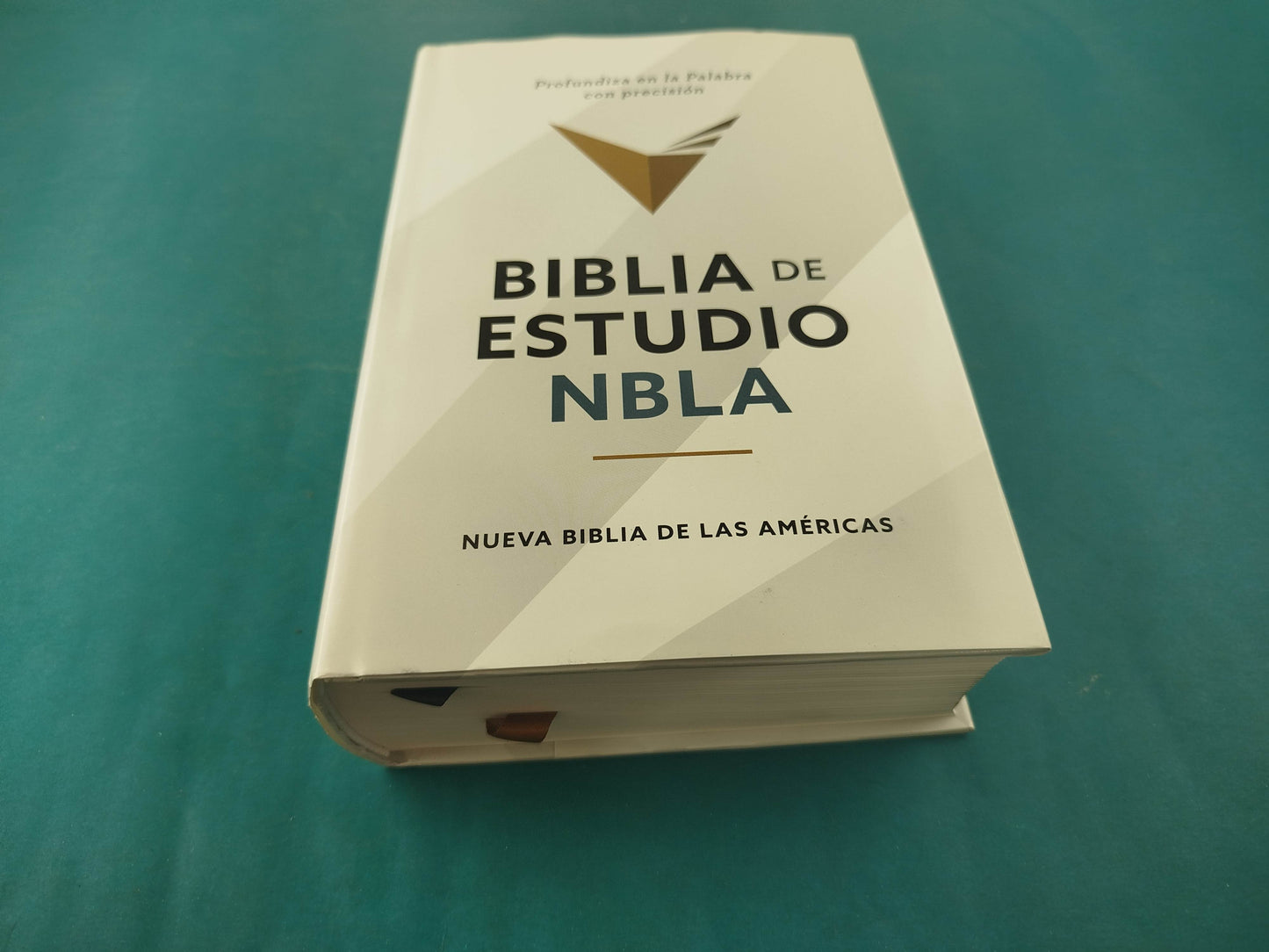 Biblia de estudio Nueva Biblia de las Américas Letra Grande Tapa dura