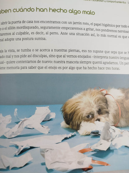 El encantador de perros 14 falsas creencias by Carlos Rodriguez