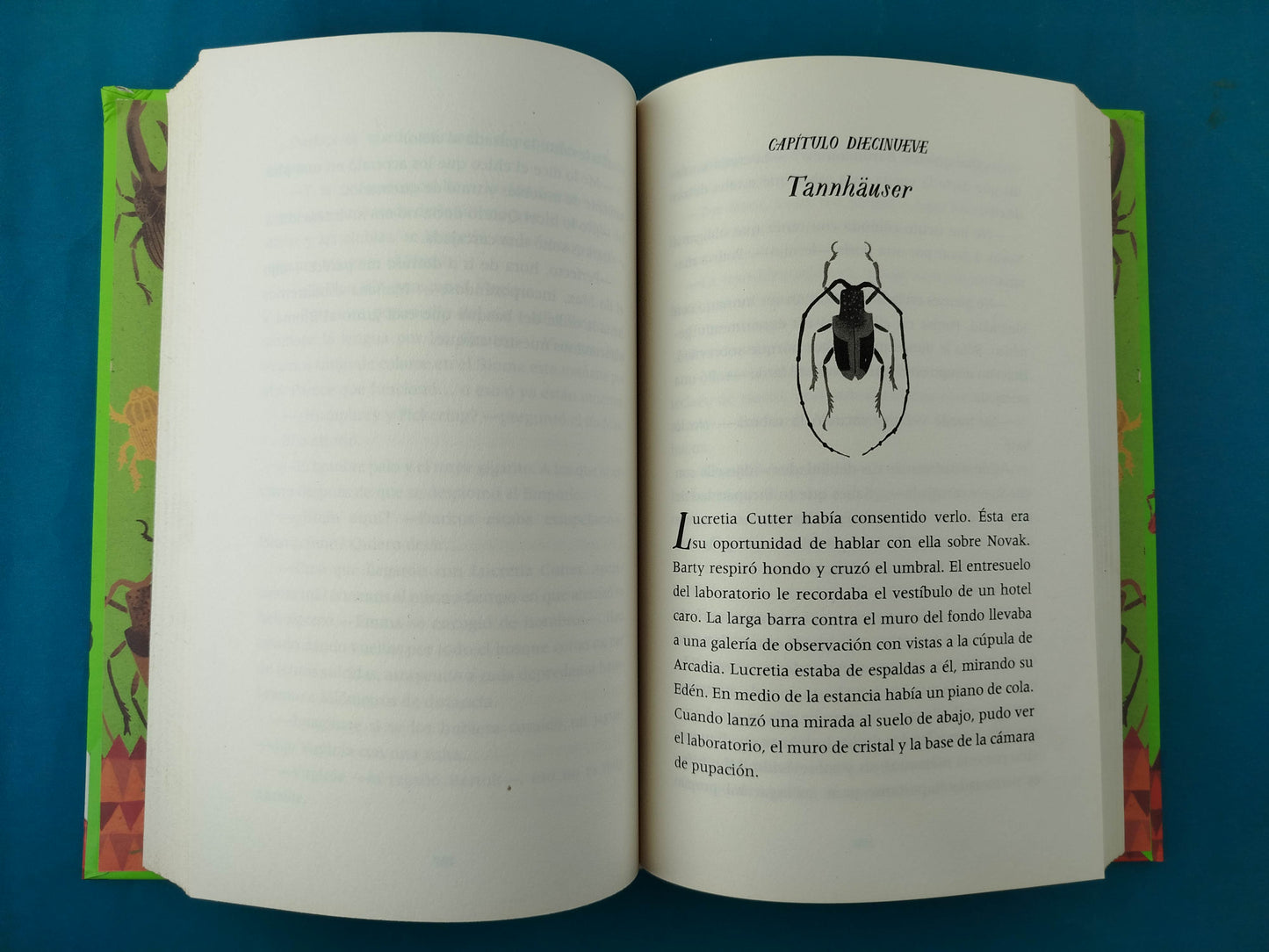 La batalla de los escarabajos