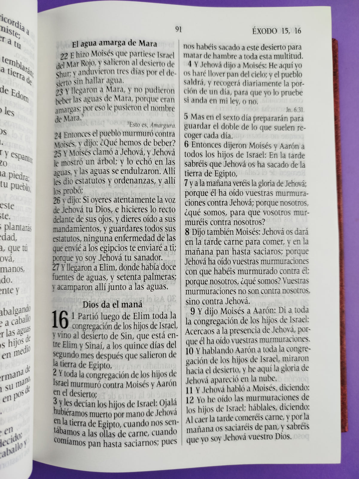 Santa biblia del oso conmemoración caja by Reina Valera 1960