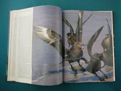 Enciclopedia de los Animales Aves tomo 2