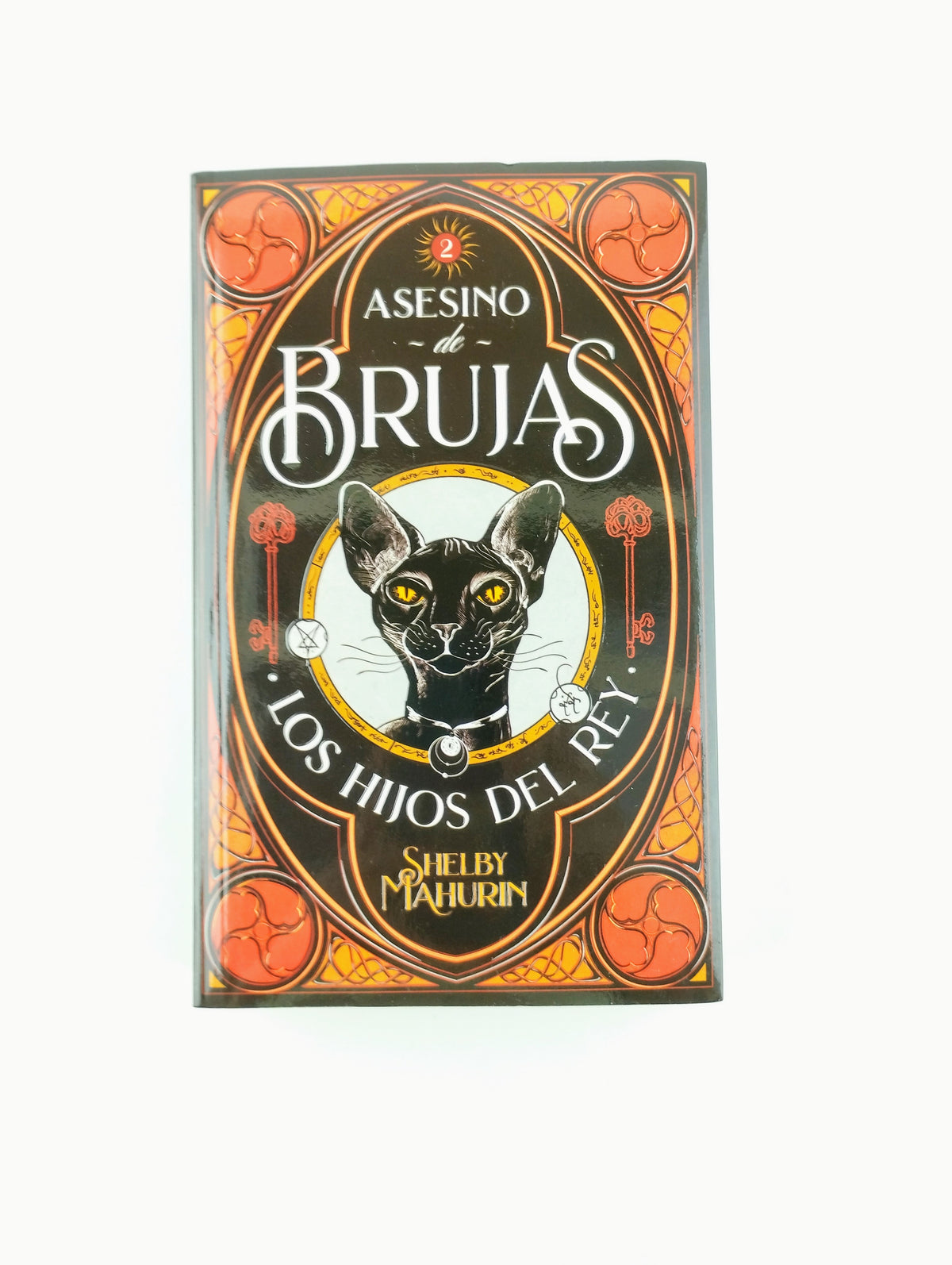 Asesino De Brujas 2 Los Hijos Del Rey by Shelby Mahurin