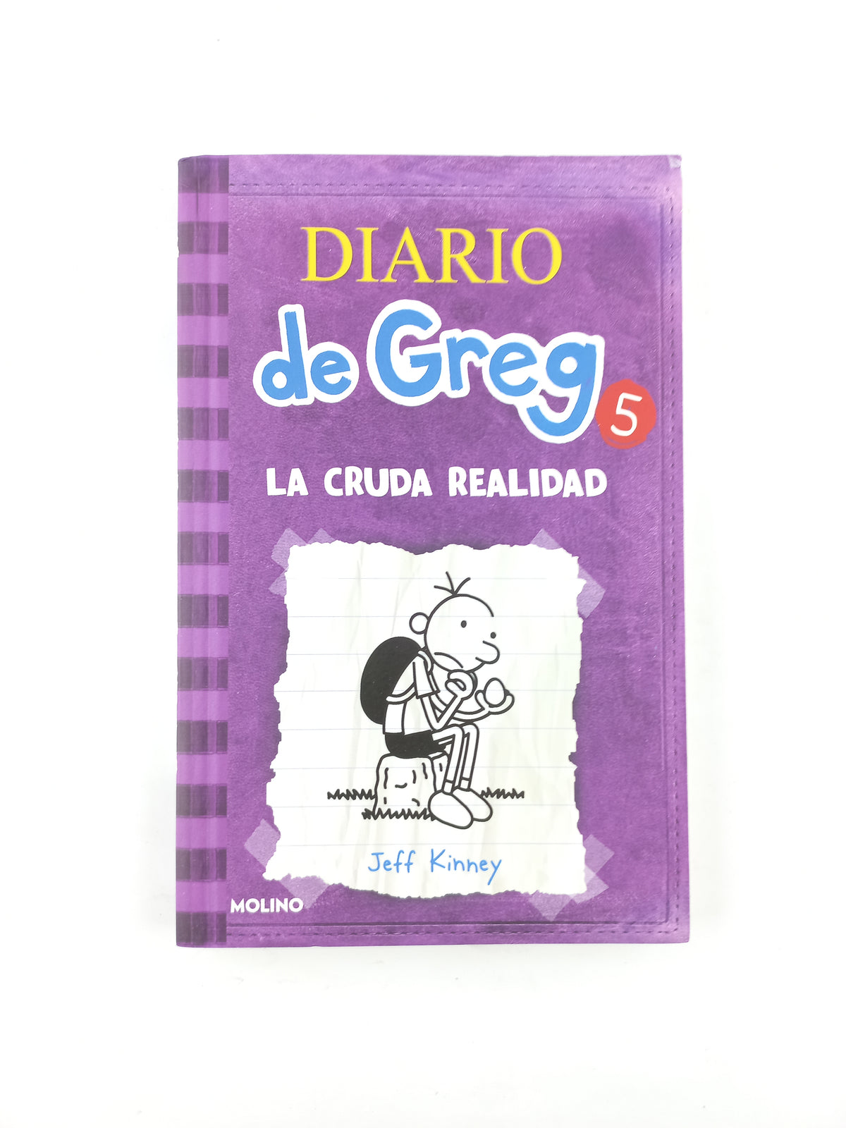 Diario De Greg 5 La Cruda Realidad by Jeff Kinney