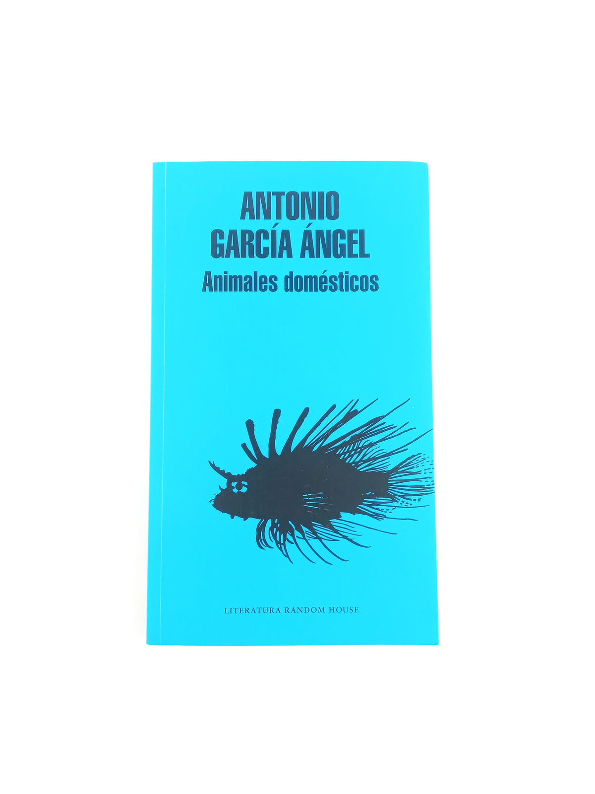 Animales Domésticos by Antonio García Angel